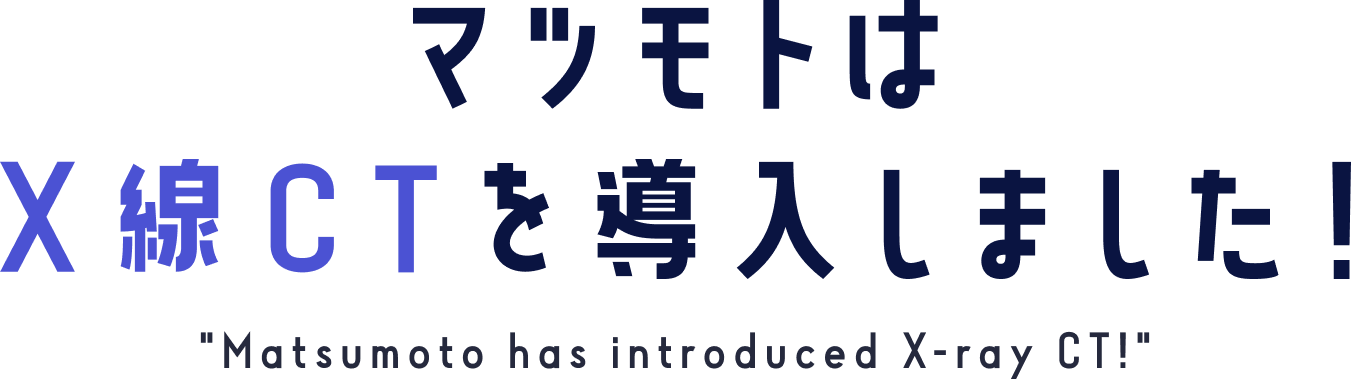 マツモトはX線CTを導入しました！